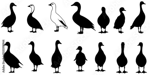 Silhouettes of various ducks and geese showcasing diverse shapes and sizes for artistic or educational use