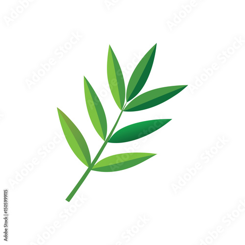 Bamboo Leaf Vector Illustration on White Background