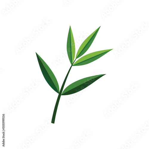 Bamboo Leaf Vector Illustration on White Background