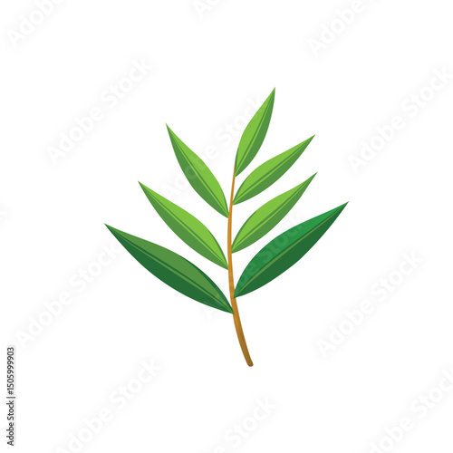 Bamboo Leaf Vector Illustration on White Background