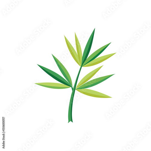 Bamboo Leaf Vector Illustration on White Background
