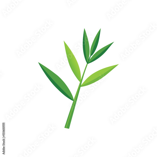Bamboo Leaf Vector Illustration on White Background
