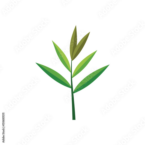 Bamboo Leaf Vector Illustration on White Background
