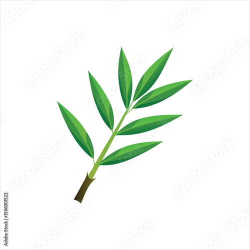 Bamboo Leaf Vector Illustration on White Background