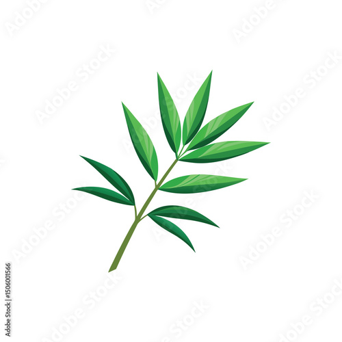 Bamboo Leaf Vector Illustration on White Background