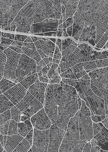 City map Sao Paulo, monochrome detailed plan, vector illustration