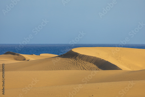 Fototapeta Naklejka Na Ścianę i Meble -  Desert landscape and sand dunes in Maspalomas. View of dunes and sea. Gran Canaria Island Spain