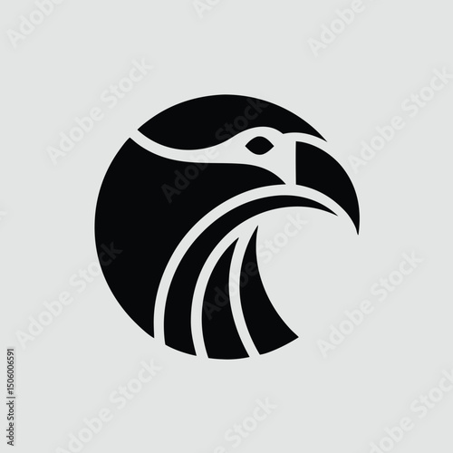 bird of prey
