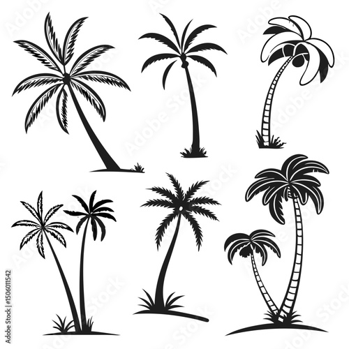 icon set set of palm tree or Arecaceae, propical branch, beach, bush