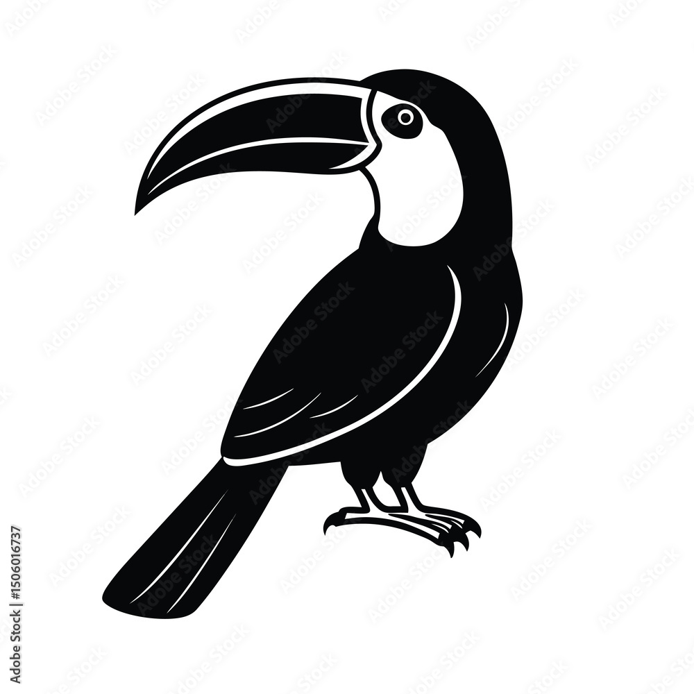 Obraz premium keel billed toucan black