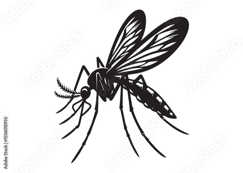 Mosquito Silhouette Vector, Mosquito Icon