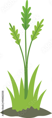 nettle isolated on white background