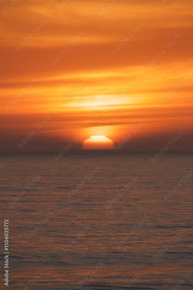 Fototapeta premium Surfer silhouette in pacific ocean during gorgeous beautiful pink orange yellow sunset golden hour in pacific beach san diego california