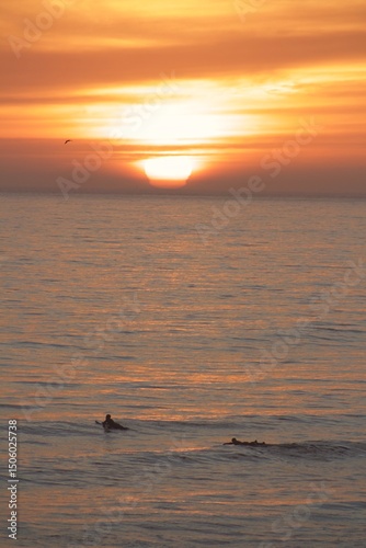 Surfer silhouette in pacific ocean during gorgeous beautiful pink orange yellow sunset golden hour in pacific beach san diego california