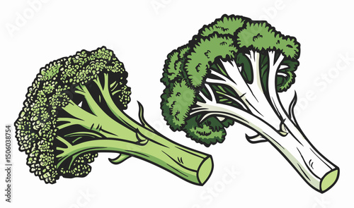 Two Fresh Broccoli Florets, Vegetable Illustration