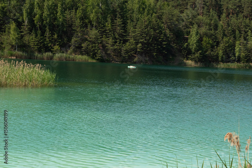 turquoise water lake surrounded by pine trees, top view.It's a beautiful summer day.background, a place to copy
