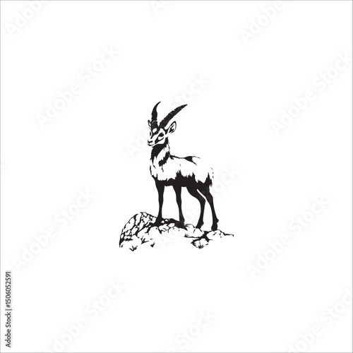 mountain gazelle with upright posture and two horns on a slope