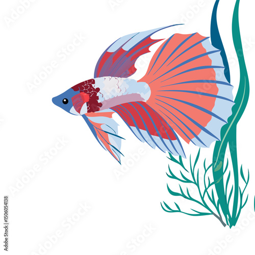 Realistic full-body illustration of a colorful Betta fish, perfect for aquarium-themed designs, pet artwork, or aquatic décor projects.