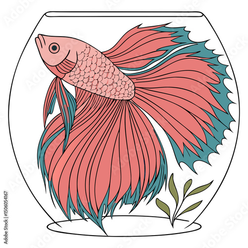 Realistic full-body illustration of a colorful Betta fish, perfect for aquarium-themed designs, pet artwork, or aquatic décor projects.