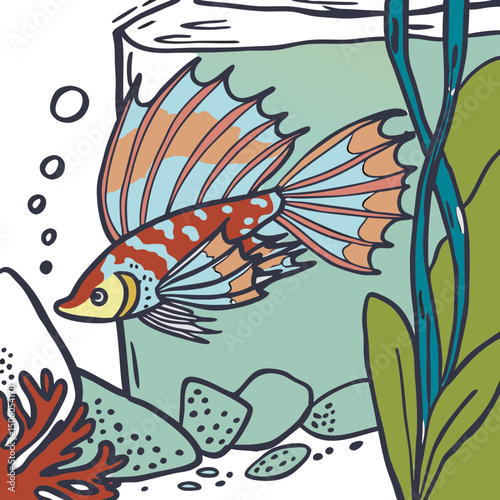 Realistic full-body illustration of a colorful Betta fish, perfect for aquarium-themed designs, pet artwork, or aquatic décor projects.