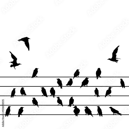Canvas Print Silhouette of a group of birds sitting on wires on a white background