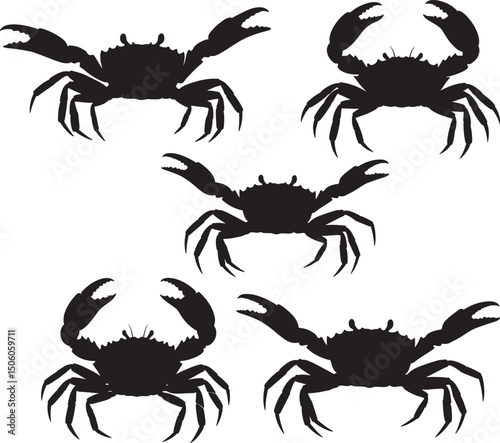 Crab marine animal black design vector illustration