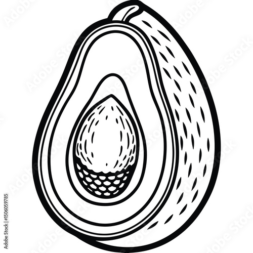 Avocado Half Illustration