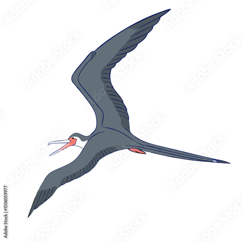 Dynamic vector artwork of a flying Frigate Bird soaring over powerful ocean waves, capturing the essence of freedom and marine wildlife in full-body detail.