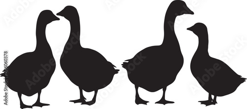 Goose bird waterfowl shape art vector illustration