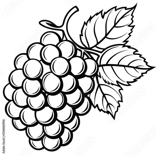 Black and white illustration of a bunch of grapes with leaves