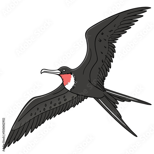 etailed vector illustration of a Flying Frigate Bird in full body, showcasing its majestic wingspan and aerodynamic shape—perfect for nature, wildlife, and bird-themed designs.