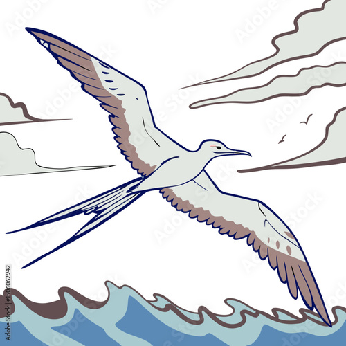 etailed vector illustration of a Flying Frigate Bird in full body, showcasing its majestic wingspan and aerodynamic shape—perfect for nature, wildlife, and bird-themed designs.