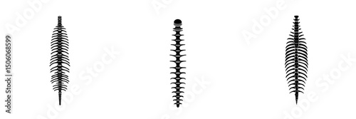 Black icon set depicting various spine silhouettes in minimalistic design for medical or educational purposes
