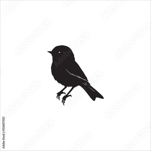 a small neat plump bird with folded wings