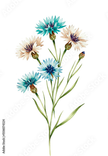 Watercolor Chicory Flowers Illustration with Blue and White Petals and Golden Splatter Accents for Decor