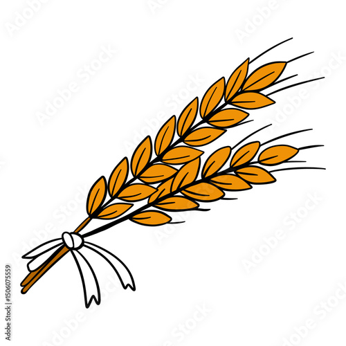 Organic wheat golden plant decoration. Grains rye cereals rural outline farming art cartoon