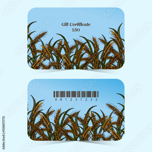 Organic wheat golden plant decoration gift cards, certificate, loyalty card front and back with bar code. Grains rye cereals rural farming