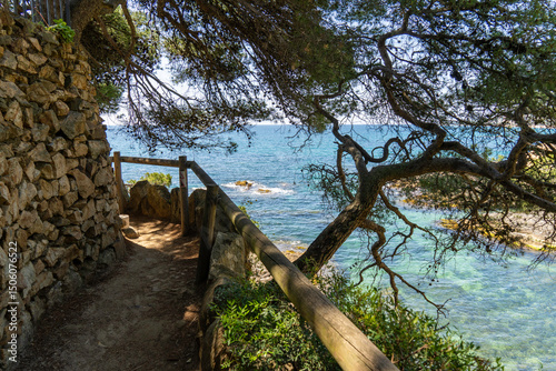 Cami de ronda coastal path overlooking mediterranean sea in platja d'aro, costa brava