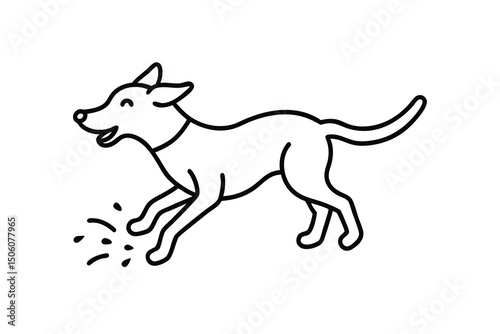 Happy dog running playfully leaping joyfully