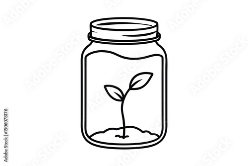 A small plant growing inside a glass mason jar