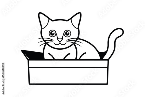 Adorable kitten sitting inside cardboard box happy pet