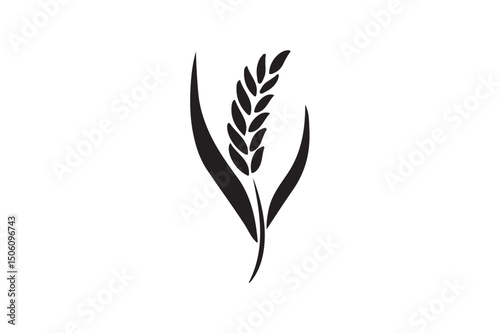 Rice ears silhouette on white background.