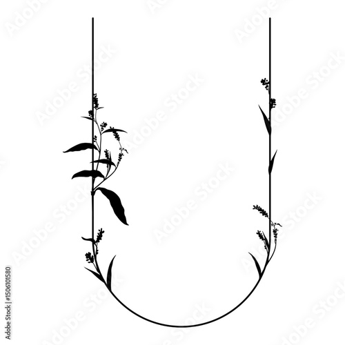 Capital letter U with floral  motifs. Botanical alphabet with herbs and wildflowers. Blooming branches of Polygonum plant. Knotweed or Smartweed flower. Black silhouette on white background.