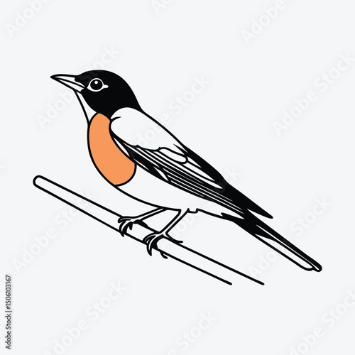 American Robin line art White background illustration Generative Ai.