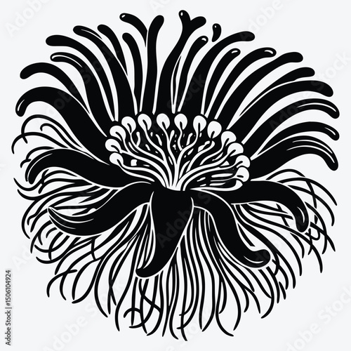 Anemone line art White background illustration Generative Ai