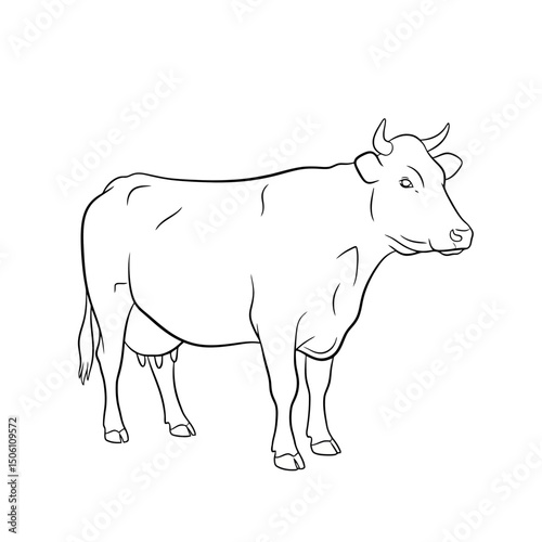 Cow Outline Illustration - Dairy Farm Animal