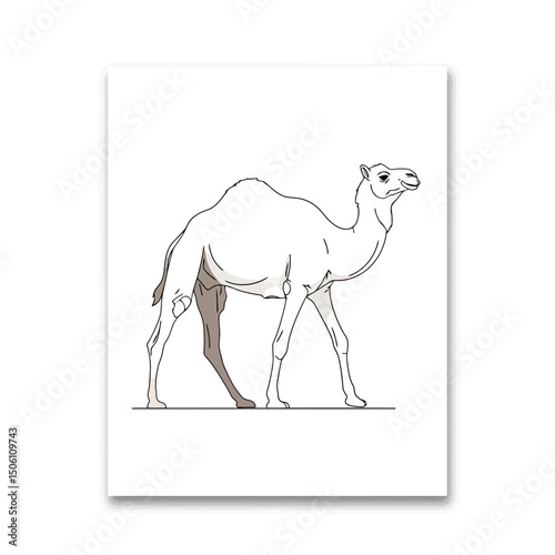 Minimalist Camel Illustration on Canvas