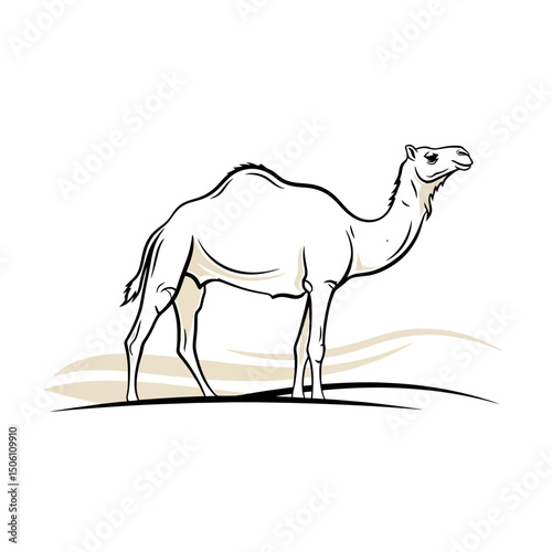 Minimalist Camel Illustration on Sand Dune