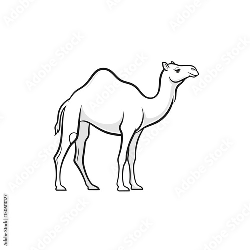Camel Illustration: Desert Animal Vector Silhouette