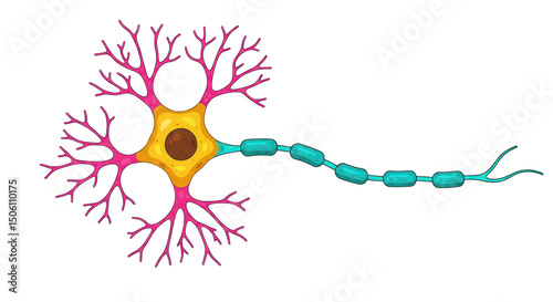Vector illustration of a neuron symbol or brain cell isolated on a transparent PNG background, ideal for neuroscience, biology, medical, education, technology, and digital design projects
